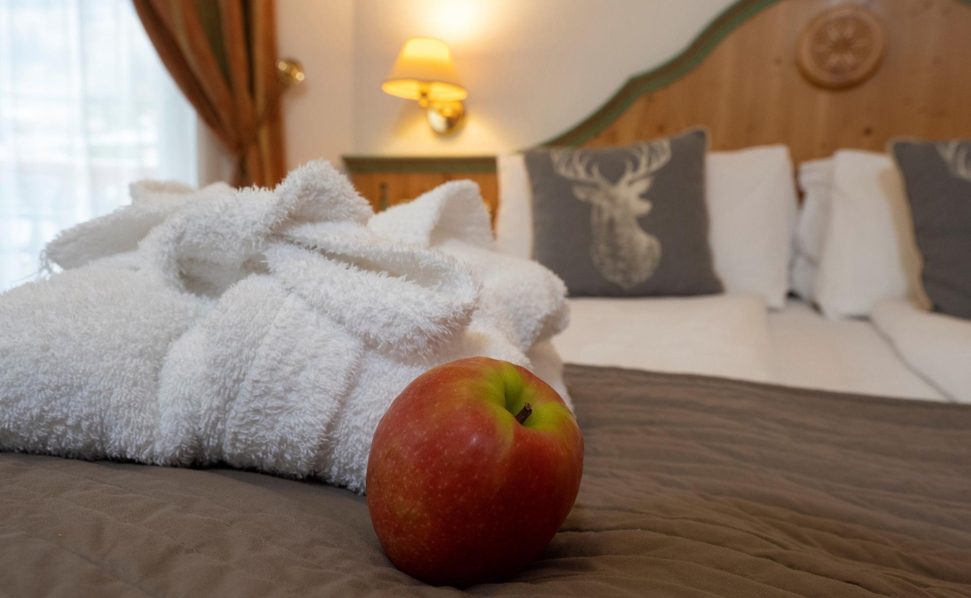 Hotel Soreghes Gran Chalet Campitello di Fassa Εξωτερικό φωτογραφία